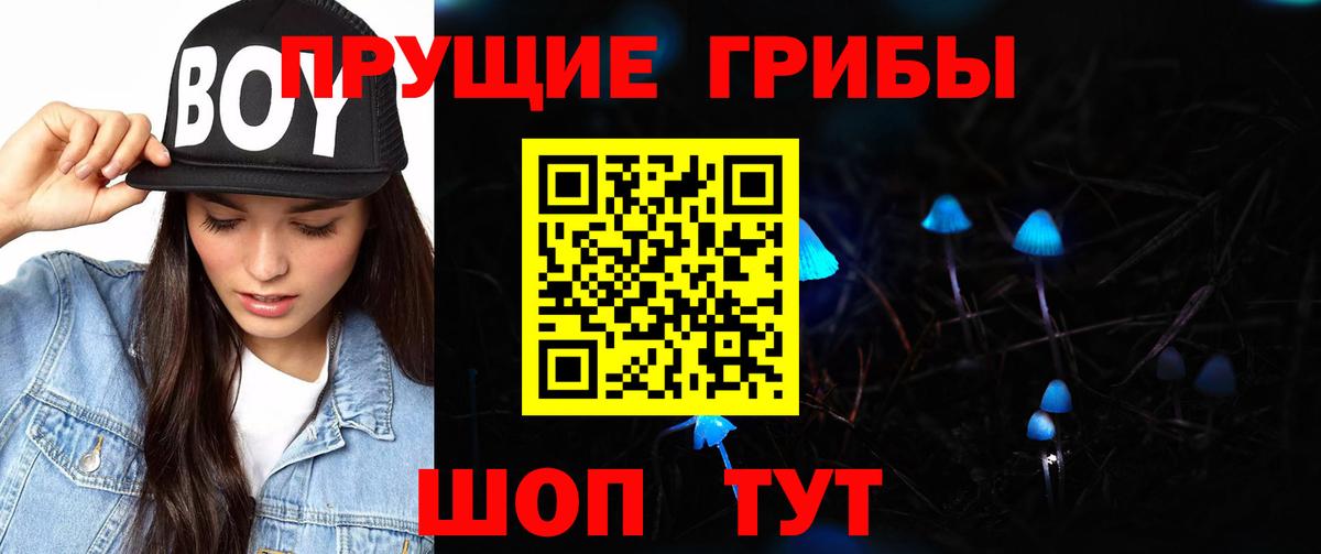Сланцы  Псилоцибиновые грибы ЛСД  Галлюциногенные грибы ЛСД  Вход с VPN 
