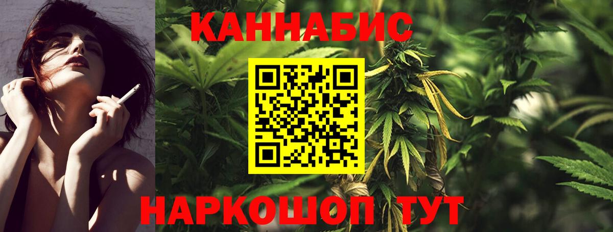 Бошки марихуана MAZAR  Конопля сатива  Каннабис план  Сланцы  Вход с VPN 